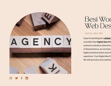 WordPress Woocommerce Web Designer | WordPress Woocommerce Web Design Agency | Digital Idea Pro | Mister Masum Rana